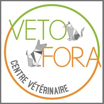 cabinet vétérinaire vetofora